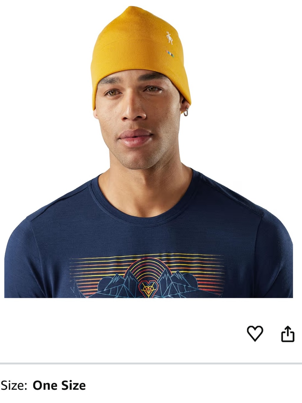 Smartwool Merino Hat